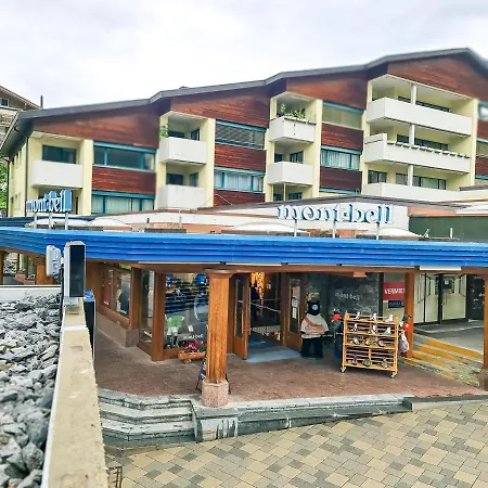 Nika - Aare Jungfrau Ag アパート グリンデルヴァルト