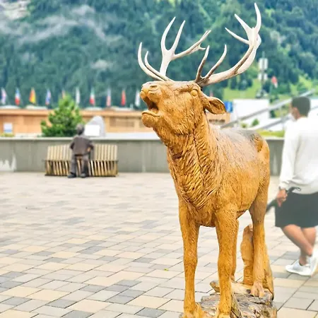 Nika - Aare Jungfrau Ag *