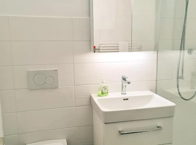 Nika - Aare Jungfrau Ag Appartamento *